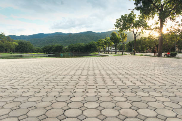 Best Driveway Pavers Near Me  in Whispering Pines, NC